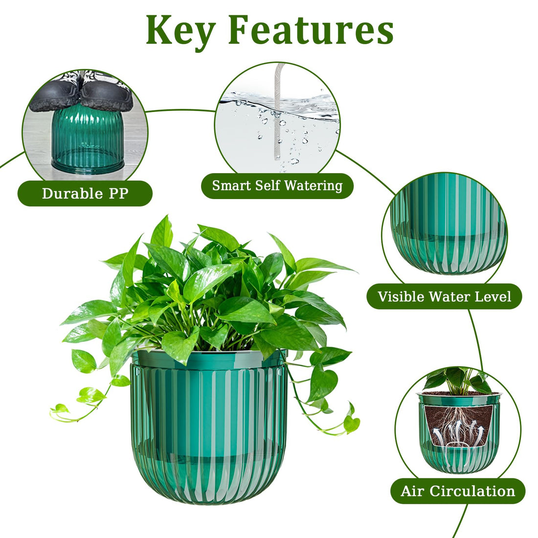 6.5 Inch Self-Watering Hanging Planter Set of 2 with Metal Chains