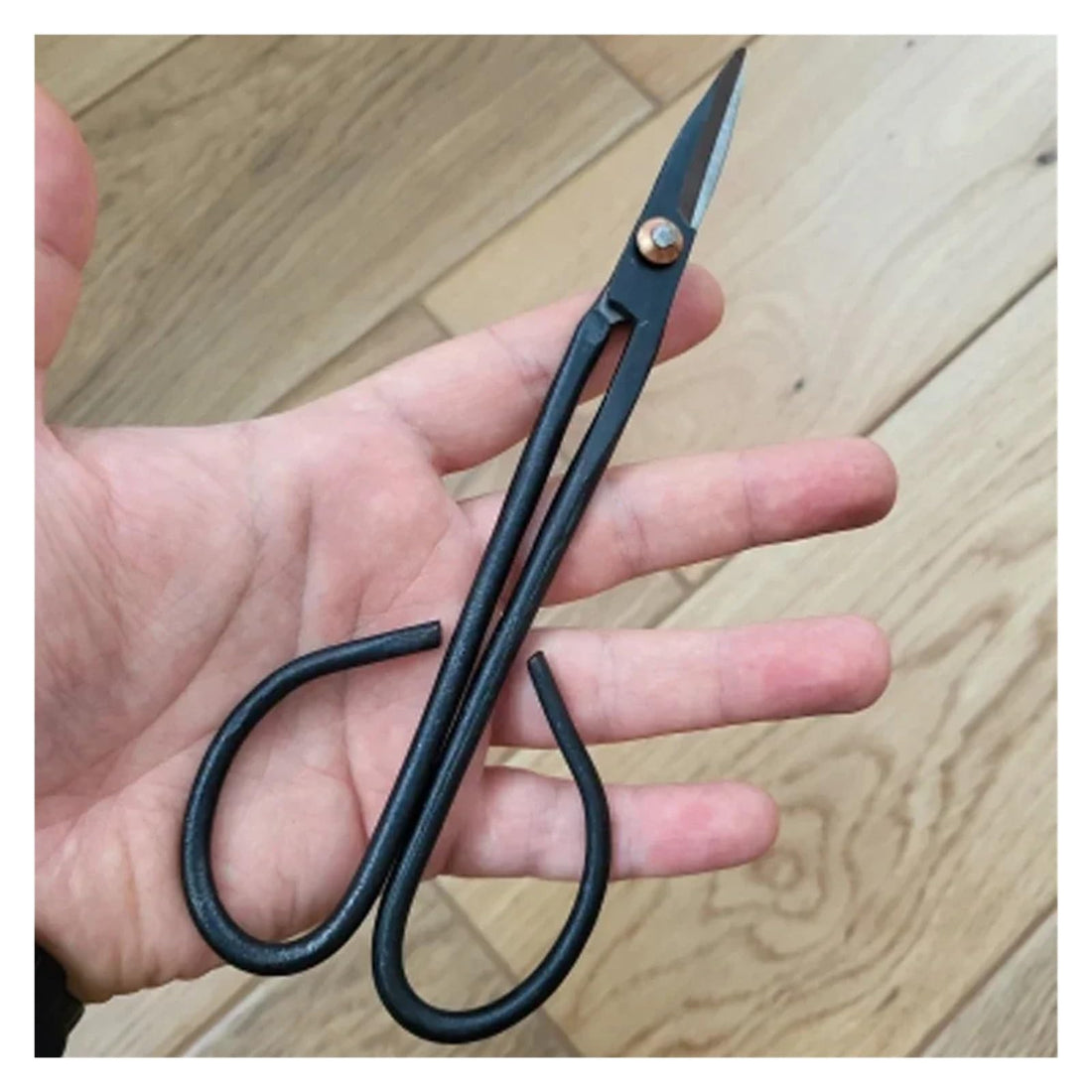 Long-Handle Black Pruning Shears for Bonsai and Flower Arranging